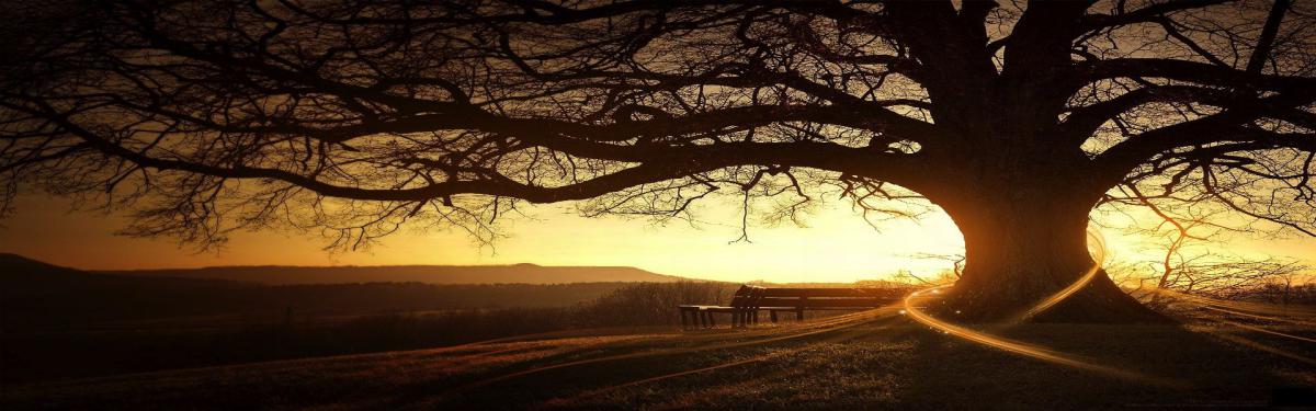 L'énergie Vitale à votre service